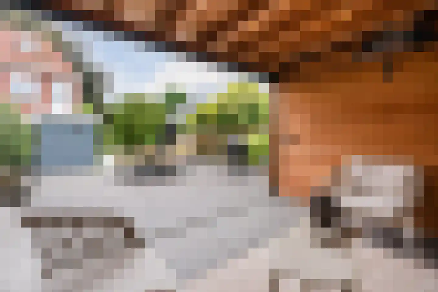 Achter de Kerk 16 Delden thumbnail 48