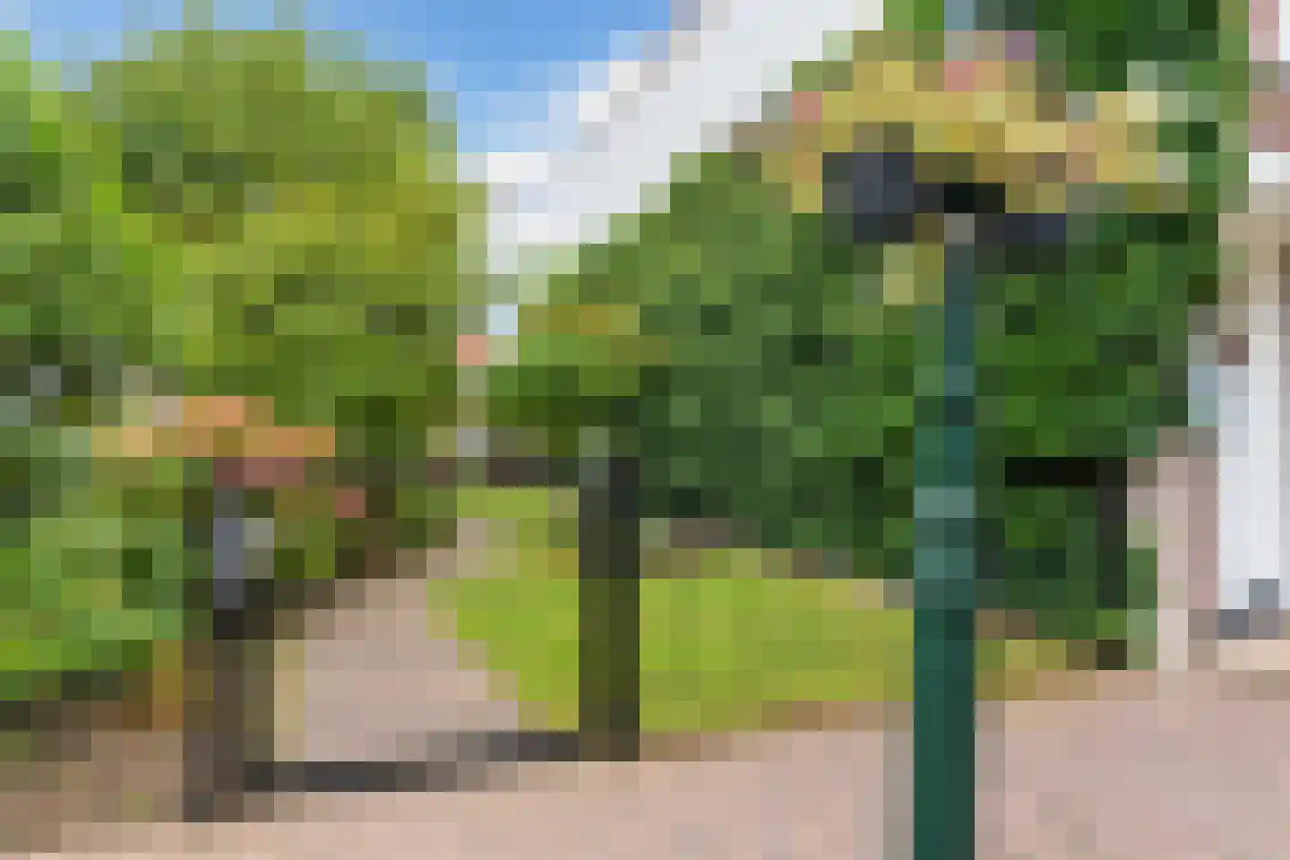 Achter de Kerk 16 Delden thumbnail 54