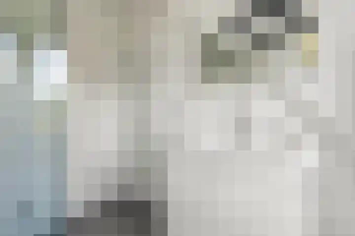 Achter de Kerk 2 Delden thumbnail 29