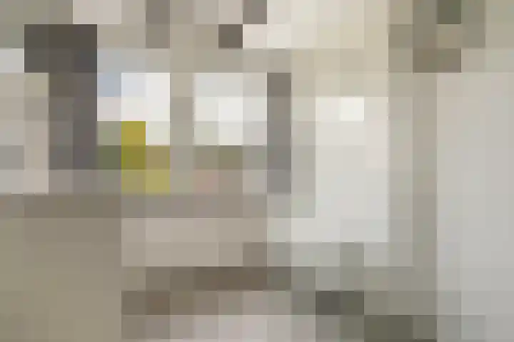 Achter de Kerk 2 Delden thumbnail 30