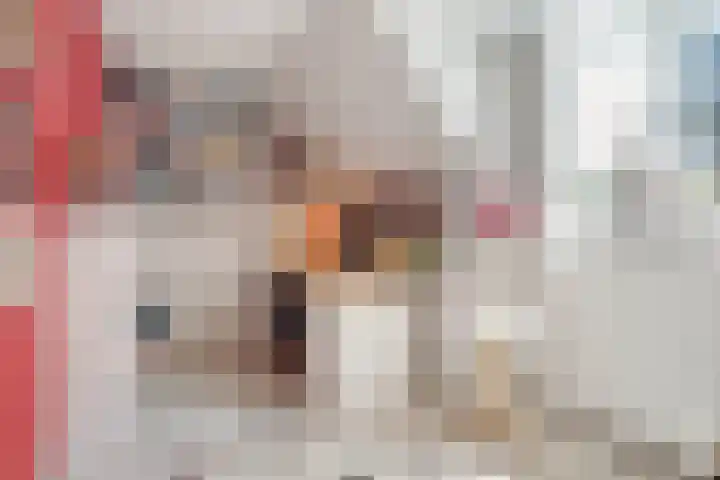 Achter de Kerk 2 Delden thumbnail 35