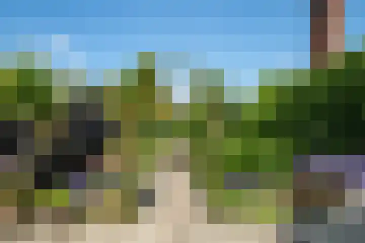 Achter de Kerk 2 Delden thumbnail 39