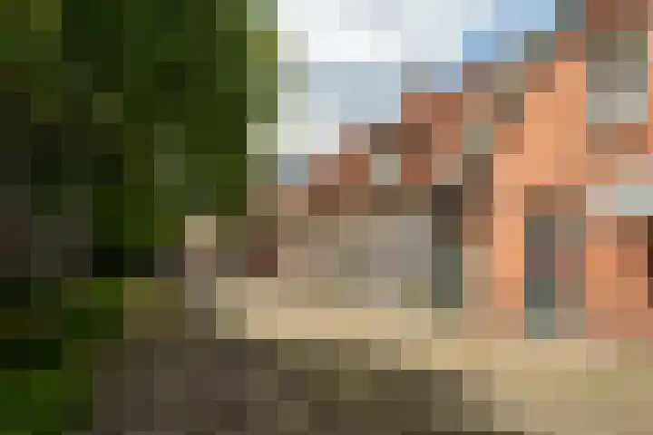 Achter de Kerk 2 Delden thumbnail 4