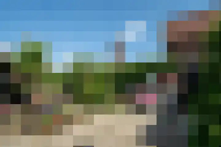 Achter de Kerk 2 Delden thumbnail 40