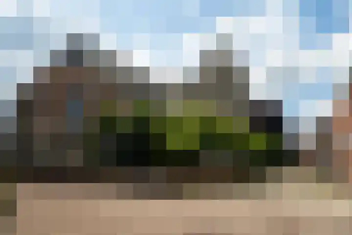 Achter de Kerk 2 Delden thumbnail 45