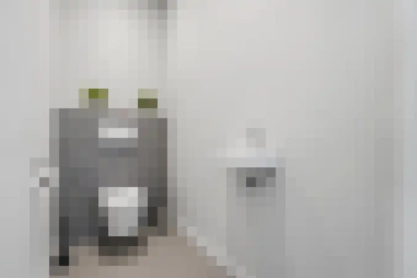 Achter de Kerk 2 Nieuw- en Sint Joosland thumbnail 11