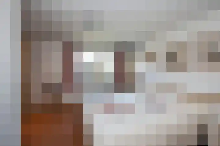 Achter de Kerk 23 Delden thumbnail 23