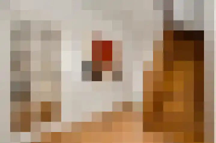 Achter de Kerk 3 Beek thumbnail 10