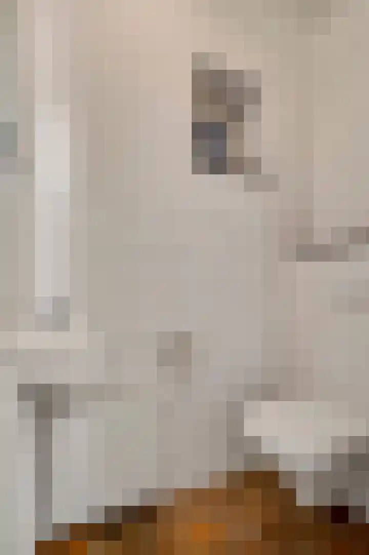 Achter de Kerk 3 Beek thumbnail 25