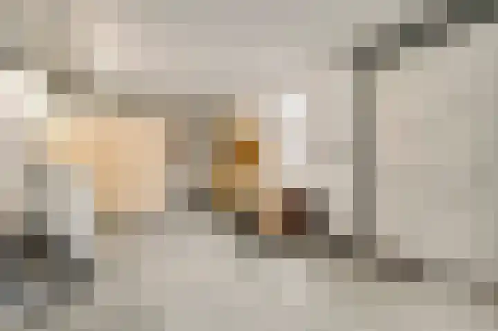 Achter de Kerk 3 Beek thumbnail 50