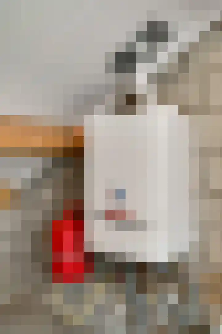 Achter de Kerk 3 Beek thumbnail 61