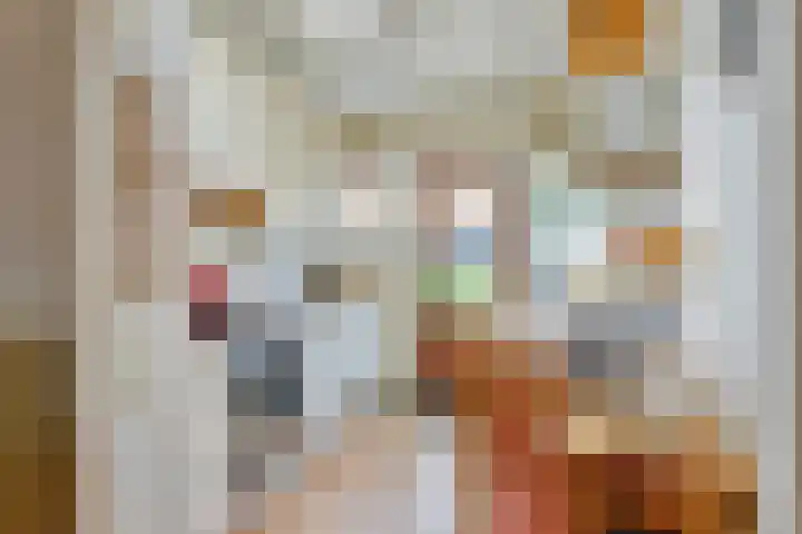 Achter de Kerk 3 Nieuw- en Sint Joosland thumbnail 11