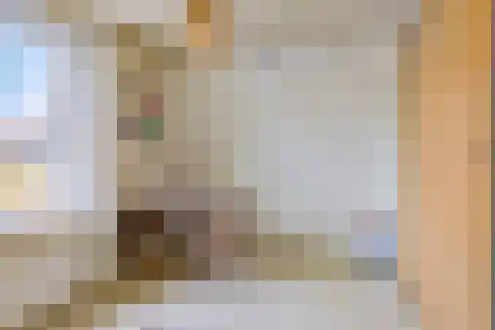 Achter de Kerk 3 Nieuw- en Sint Joosland thumbnail 18
