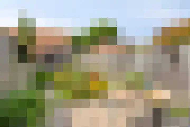 Achter de Kerk 3 Nieuw- en Sint Joosland thumbnail 21