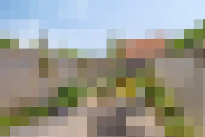 Achter de Kerk 3 Nieuw- en Sint Joosland thumbnail 22