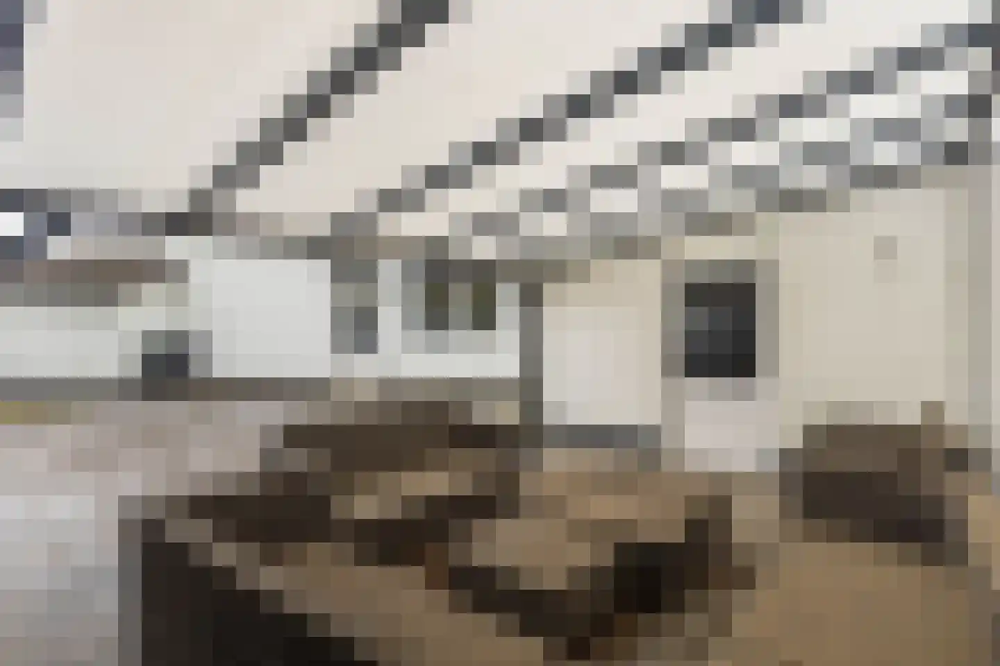 Achter de Kerk 30 Sittard thumbnail 31