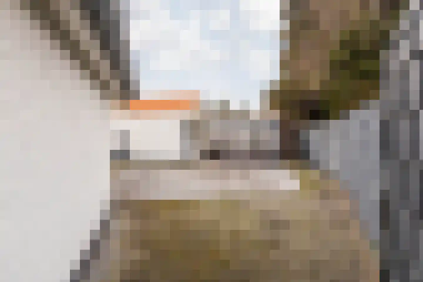 Achter de Kerk 30 Sittard thumbnail 34