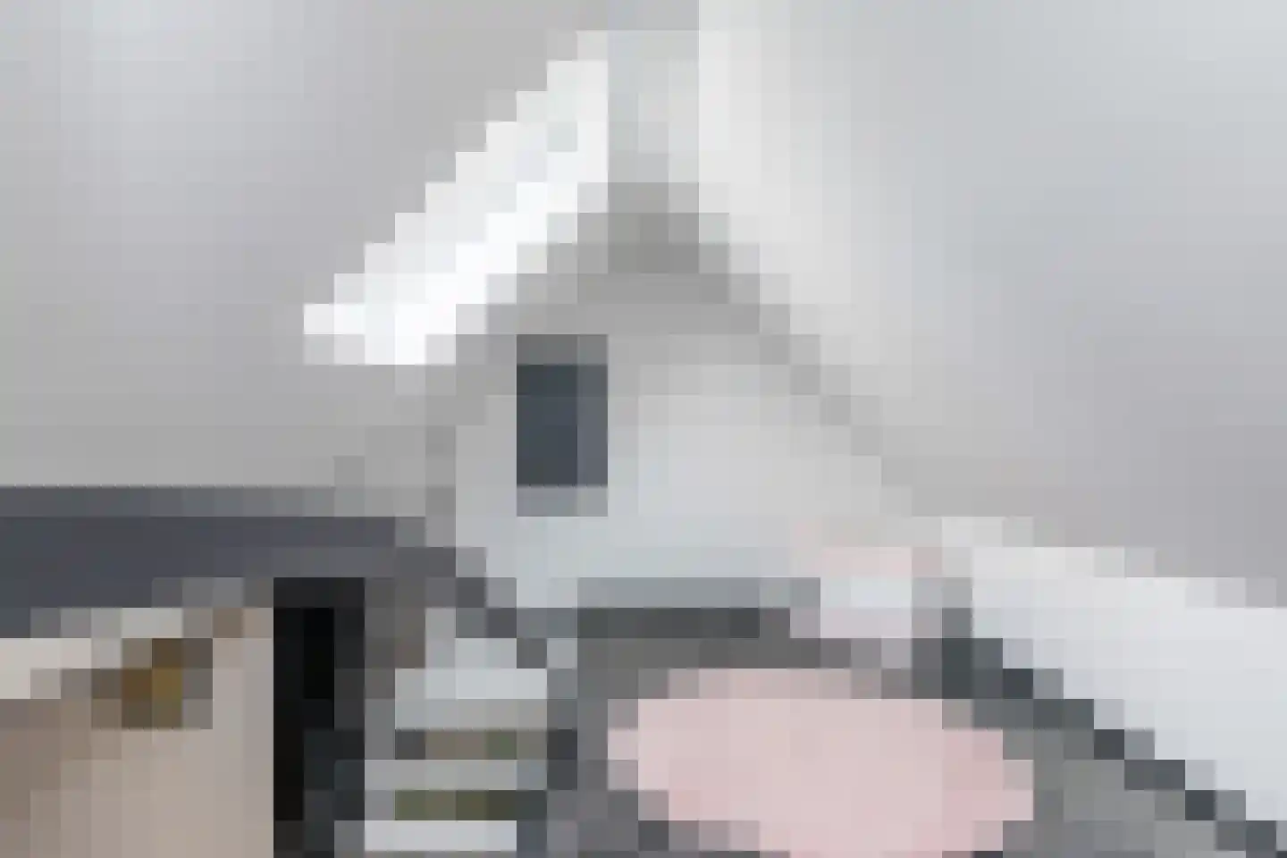 Achter de Kerk 4 Schinnen thumbnail 28
