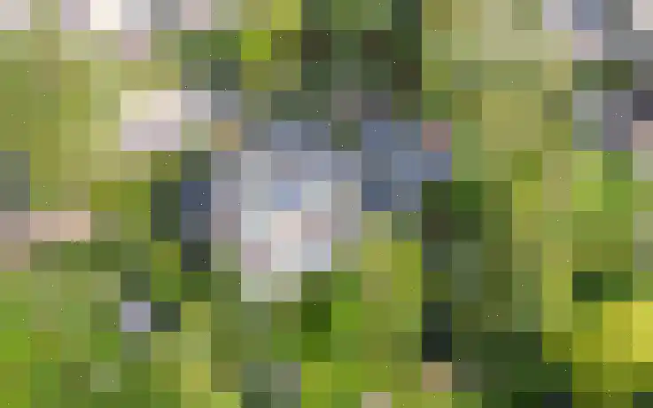 Achter de Kerk 4 Schinnen thumbnail 4