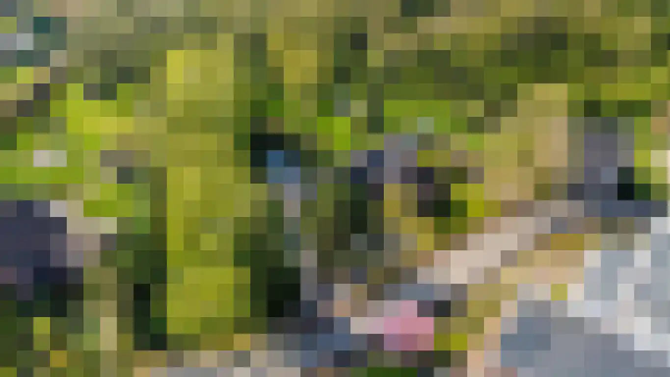 Achter de Kerk 4 Schinnen thumbnail 49