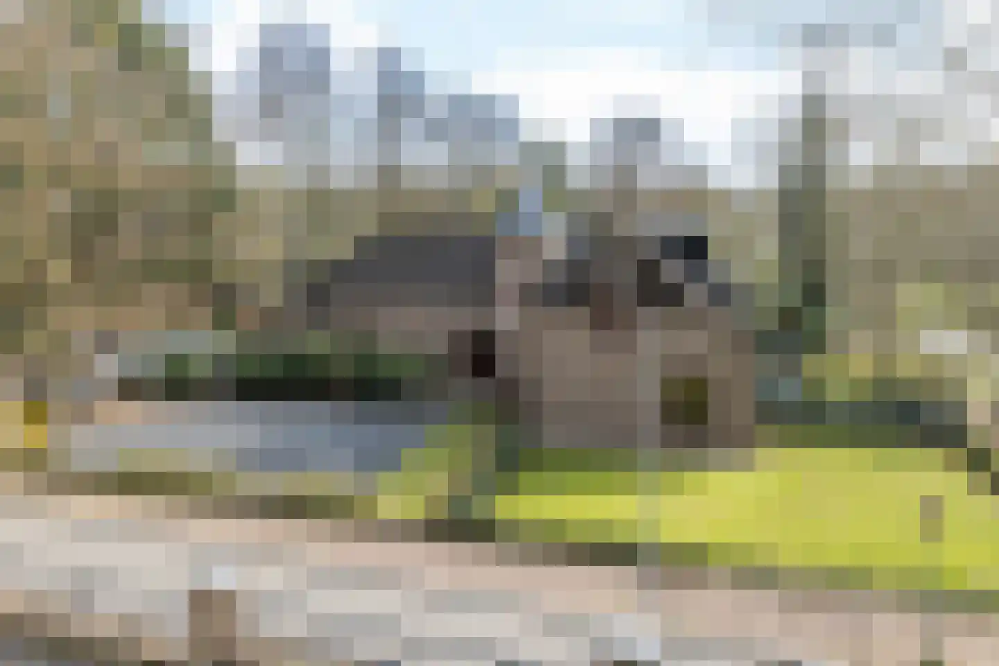 Achter de Kerk 4 Schinnen thumbnail 50