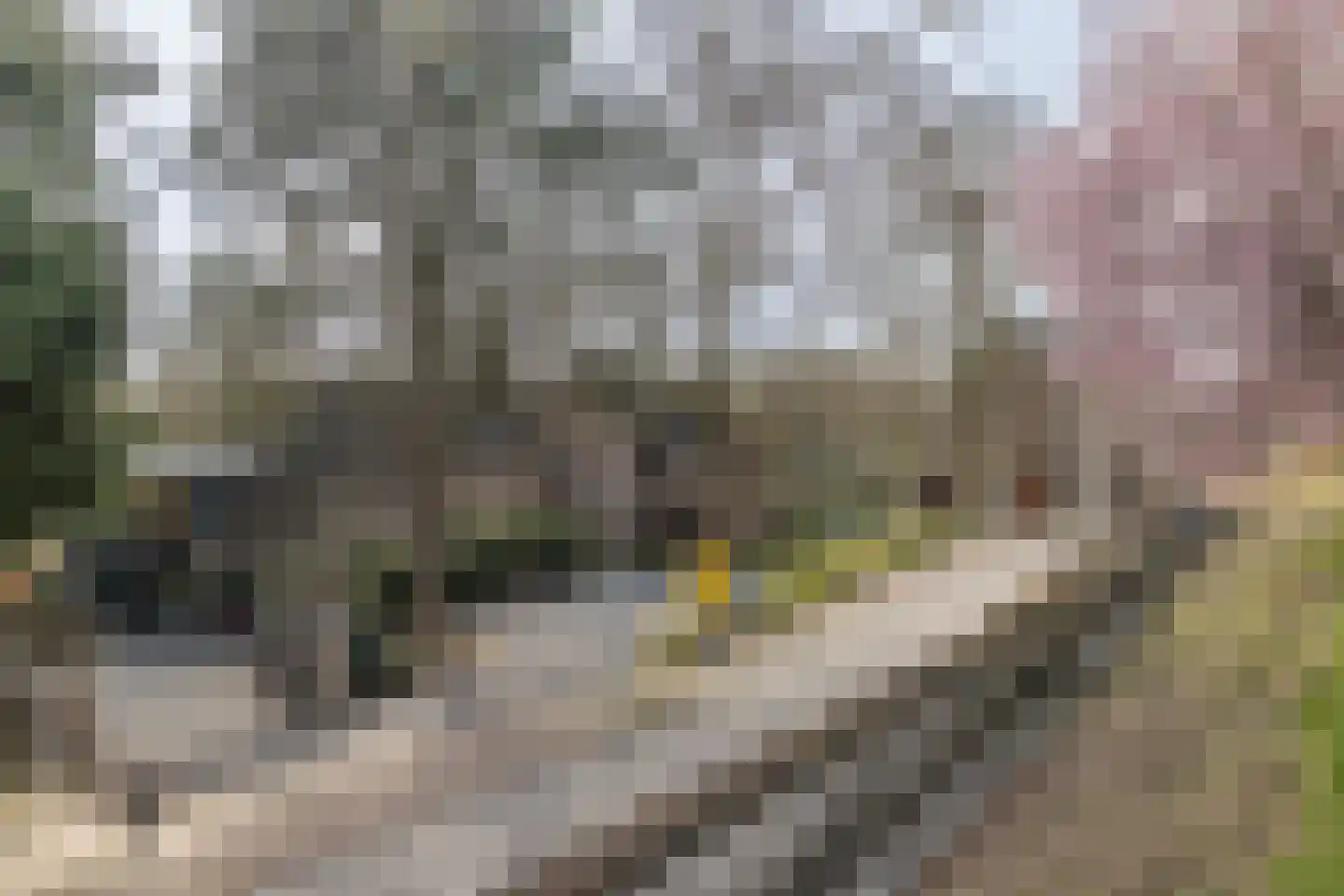 Achter de Kerk 4 Schinnen thumbnail 51