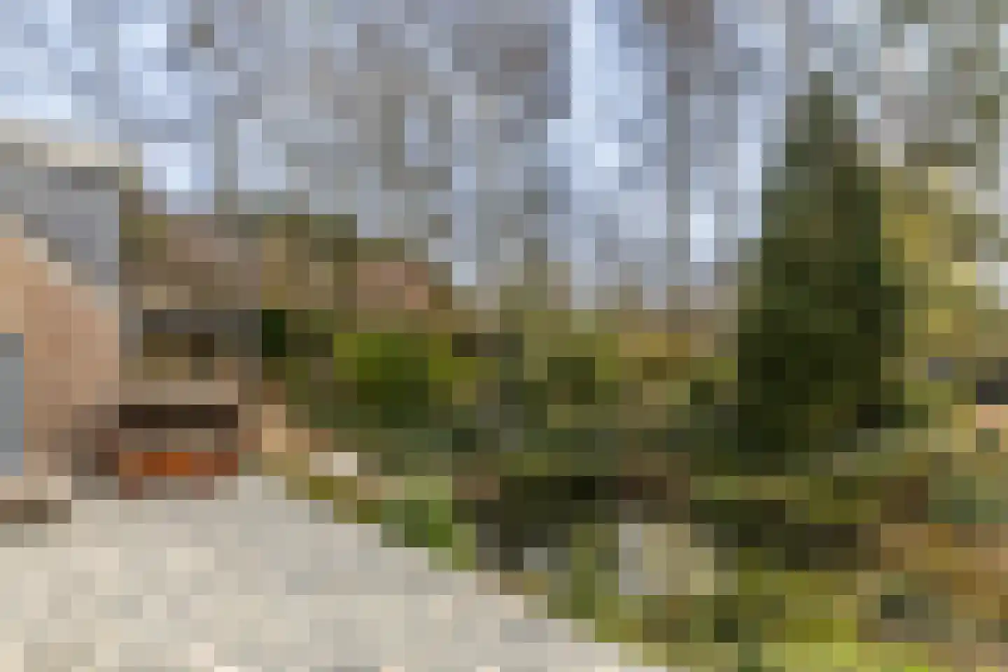 Achter de Kerk 4 Schinnen thumbnail 53