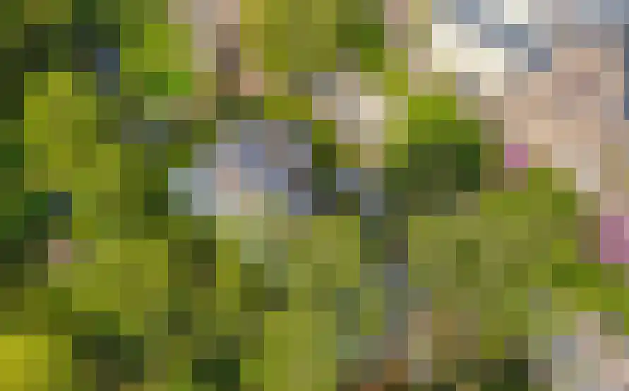 Achter de Kerk 4 Schinnen thumbnail 56