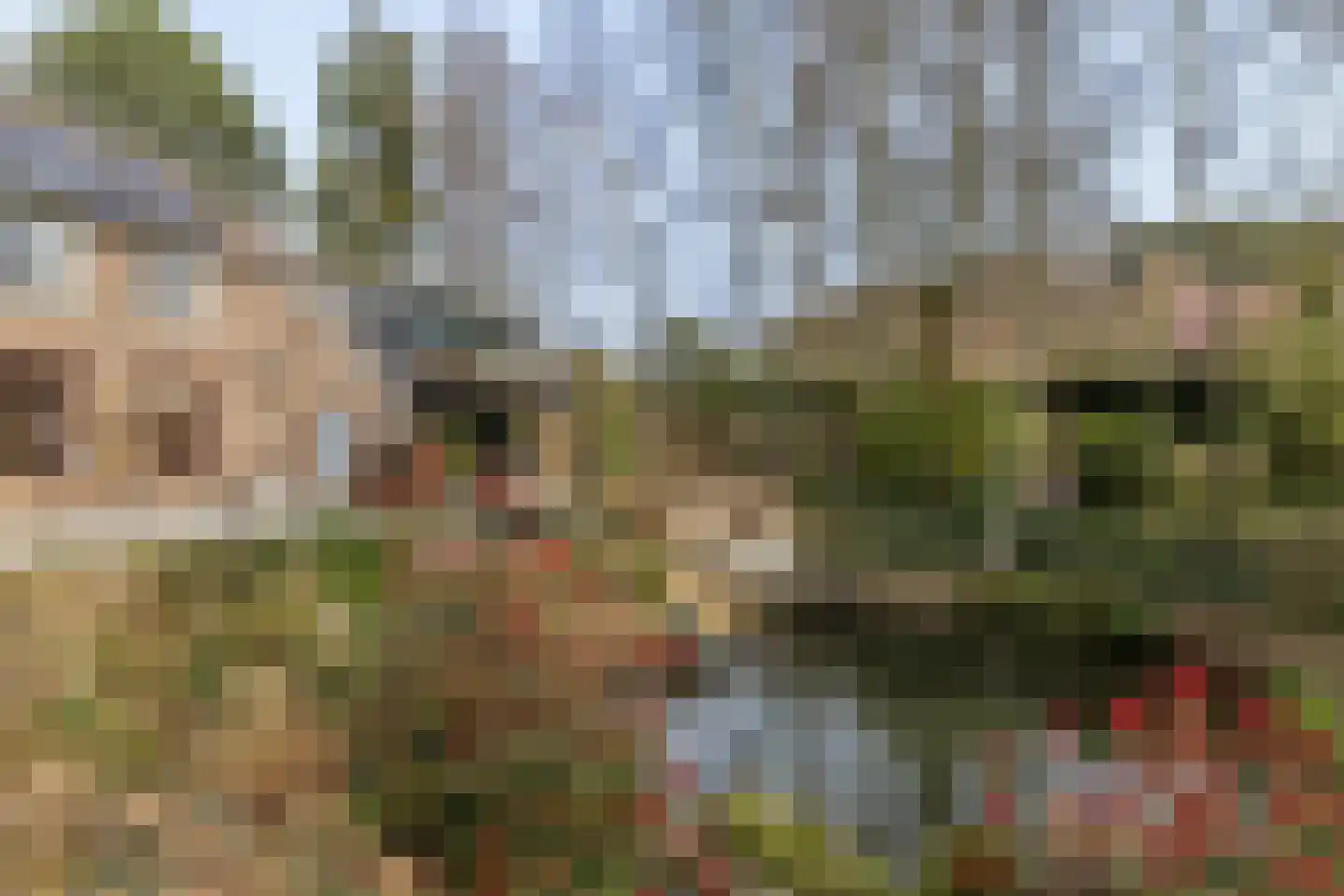 Achter de Kerk 4 Schinnen thumbnail 57