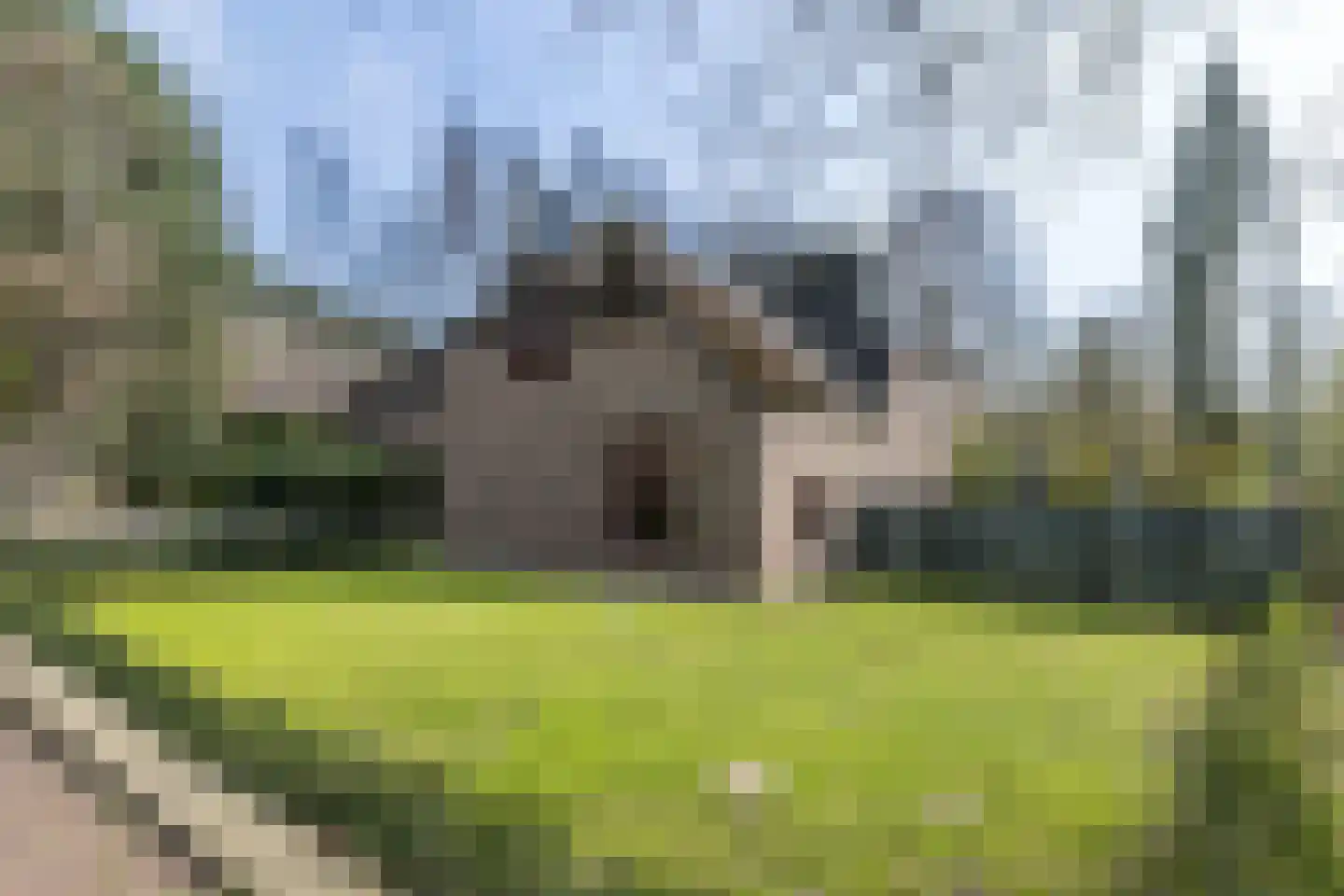 Achter de Kerk 4 Schinnen thumbnail 59