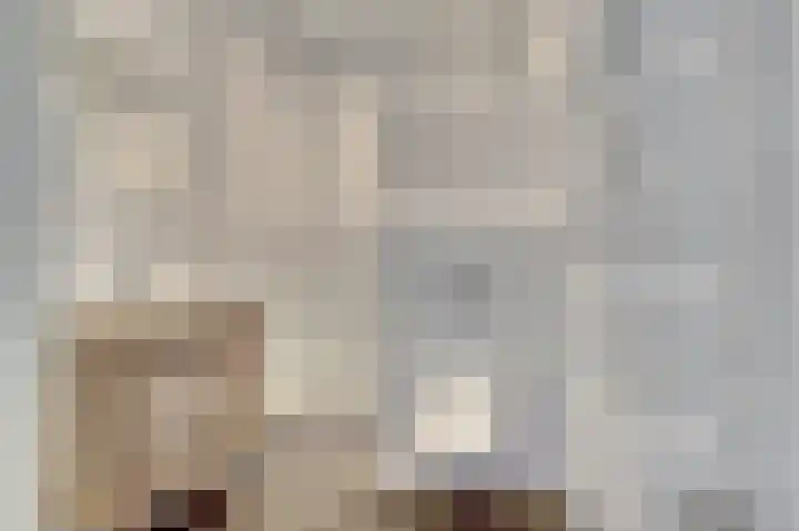 Achter de Kerk 7 f Gouda thumbnail 13
