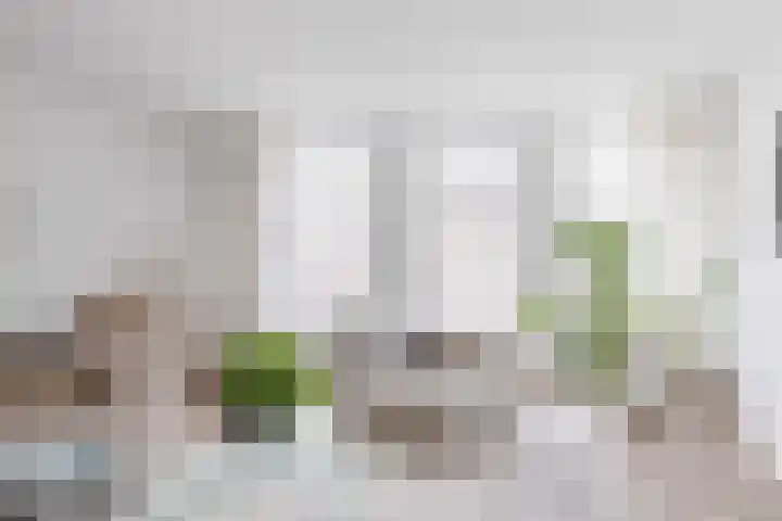 Achter de Kerk 7 f Gouda thumbnail 5