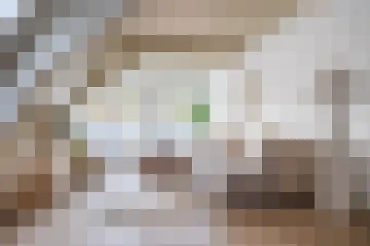 Achter de Kerk 8 h Gouda thumbnail 10