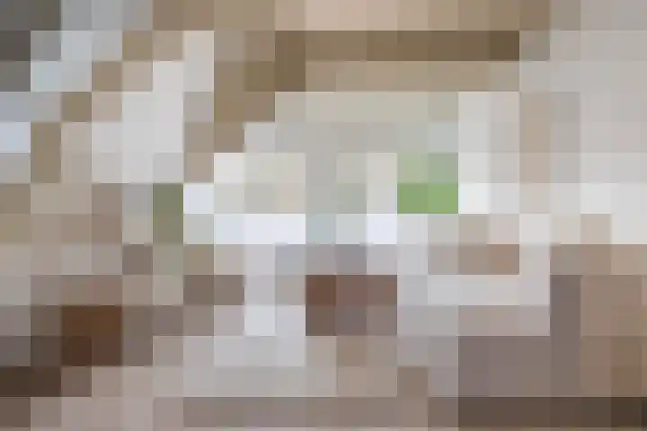 Achter de Kerk 8 h Gouda thumbnail 11