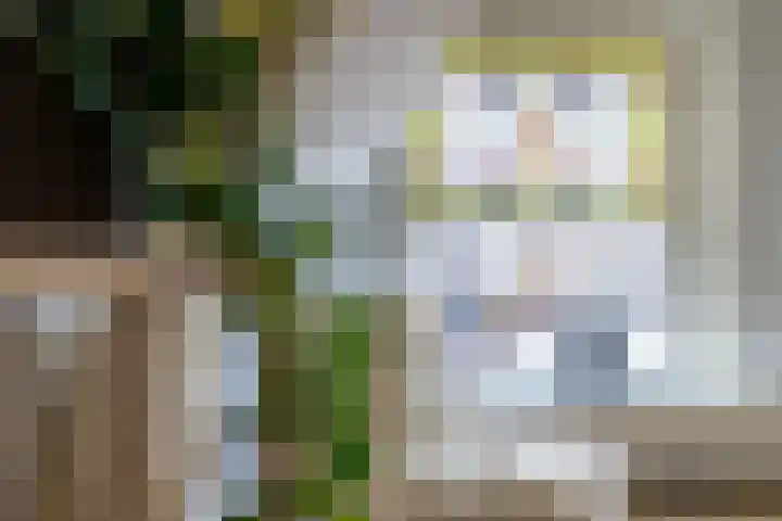Achter de Kerk 8 h Gouda thumbnail 12