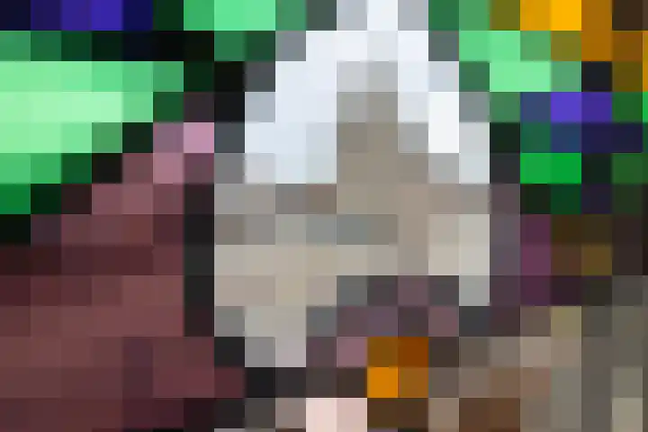 Achter de Kerk 8 h Gouda thumbnail 13