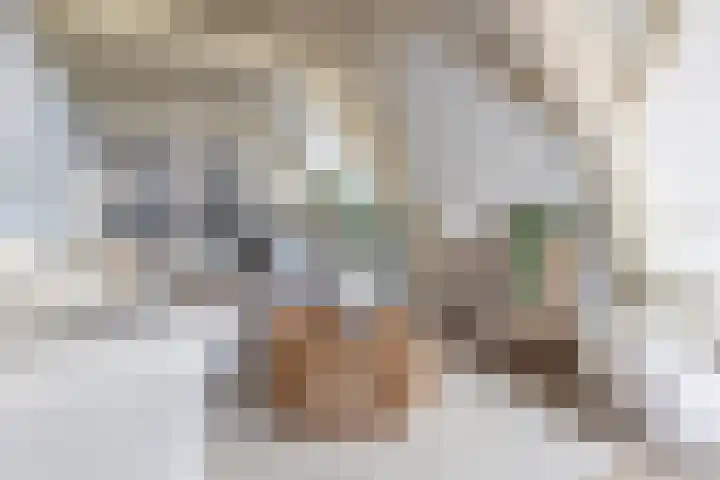Achter de Kerk 8 h Gouda thumbnail 14