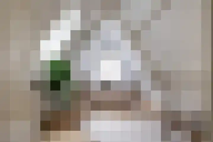 Achter de Kerk 8 h Gouda thumbnail 17