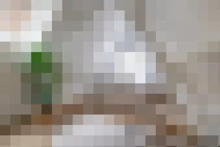 Achter de Kerk 8 h Gouda thumbnail 18