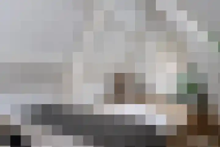 Achter de Kerk 8 h Gouda thumbnail 19