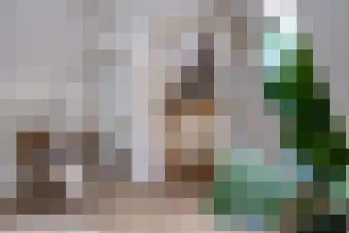 Achter de Kerk 8 h Gouda thumbnail 20