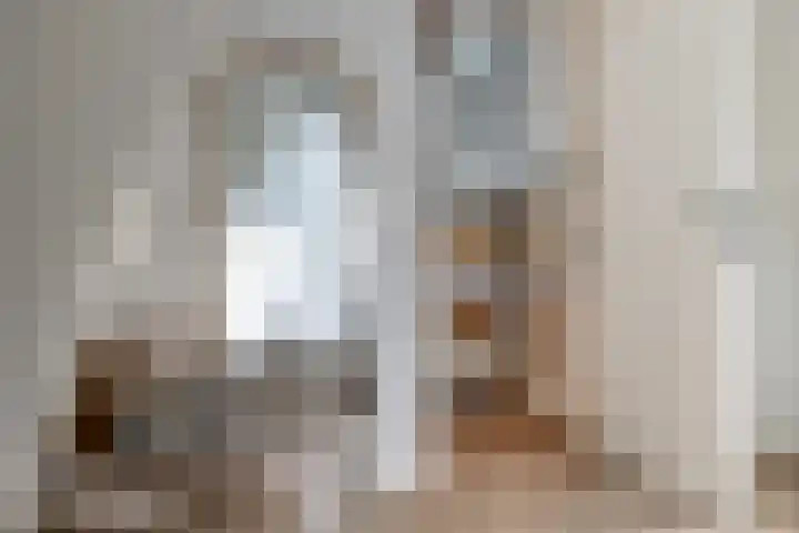 Achter de Kerk 8 h Gouda thumbnail 21