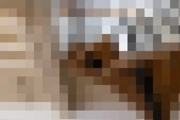 Achter de Kerk 8 h Gouda thumbnail 22