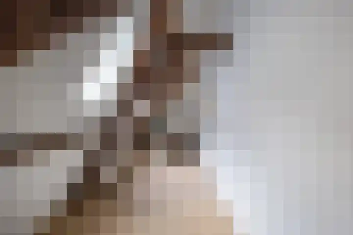 Achter de Kerk 8 h Gouda thumbnail 23