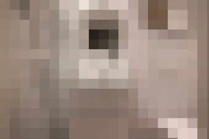 Achter de Kerk 8 h Gouda thumbnail 28