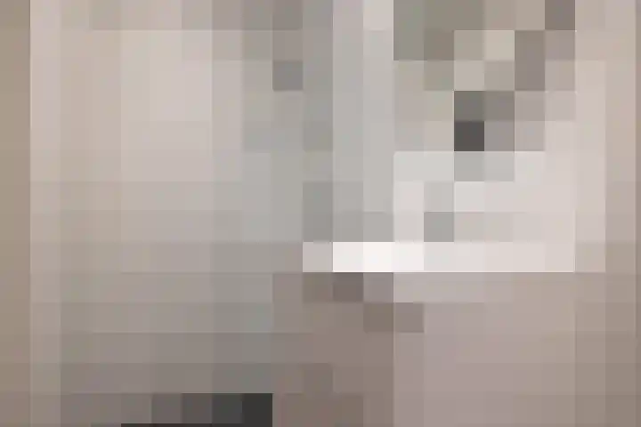 Achter de Kerk 8 h Gouda thumbnail 30