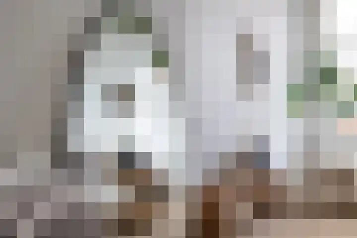 Achter de Kerk 8 j Gouda thumbnail 13