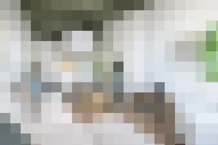 Achter de Kerk 8 j Gouda thumbnail 15