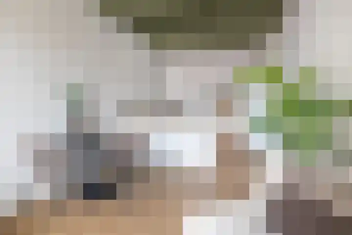 Achter de Kerk 8 j Gouda thumbnail 16