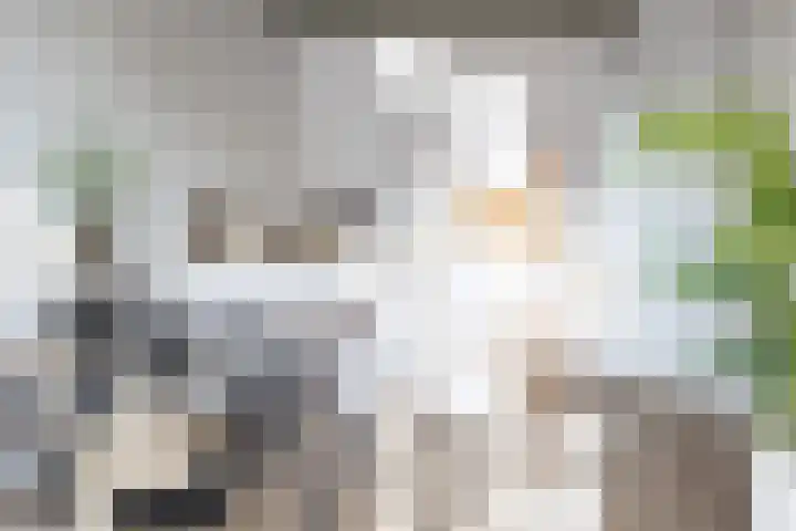 Achter de Kerk 8 j Gouda thumbnail 17